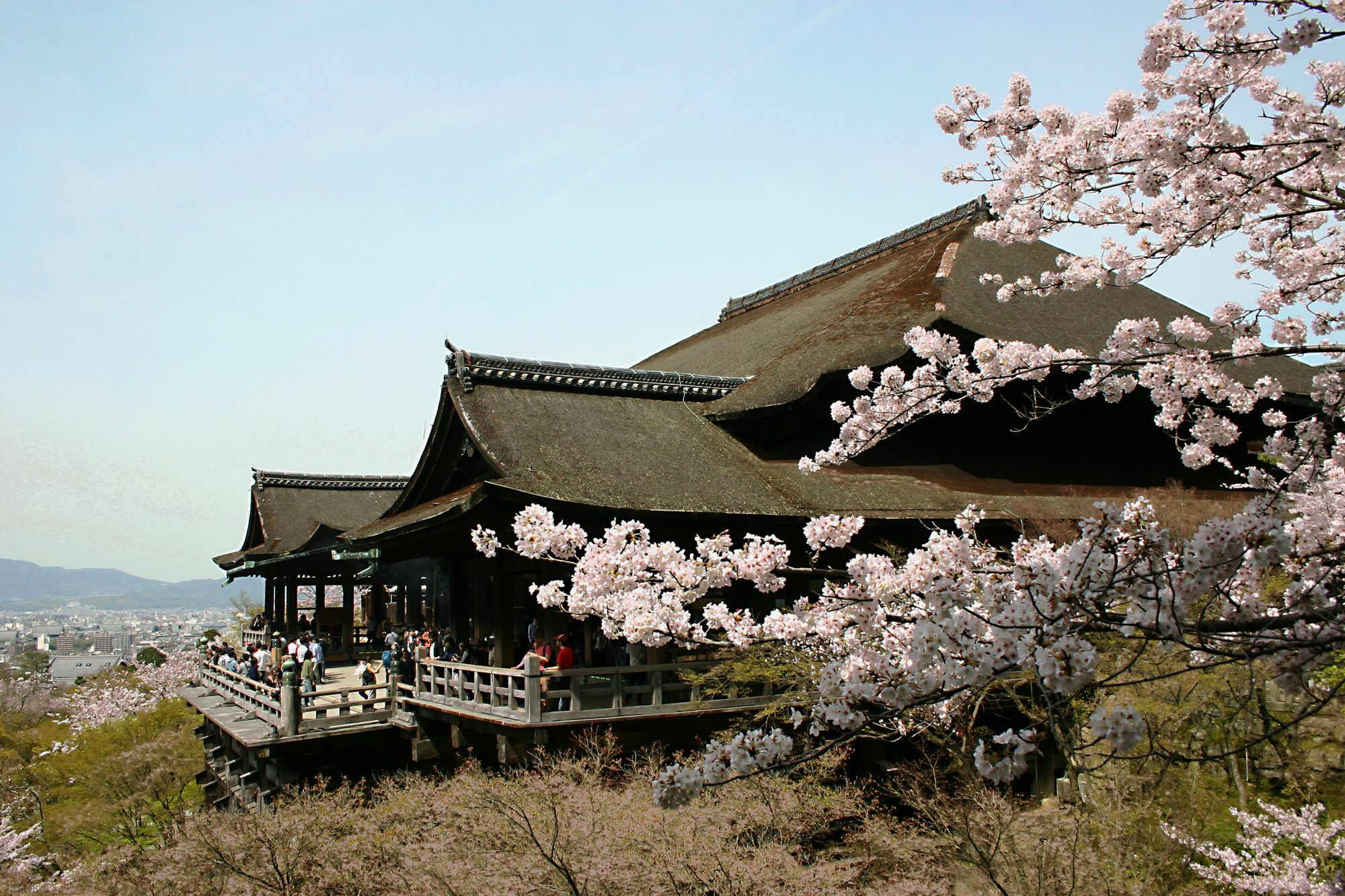 Sakura Machiya Akari *