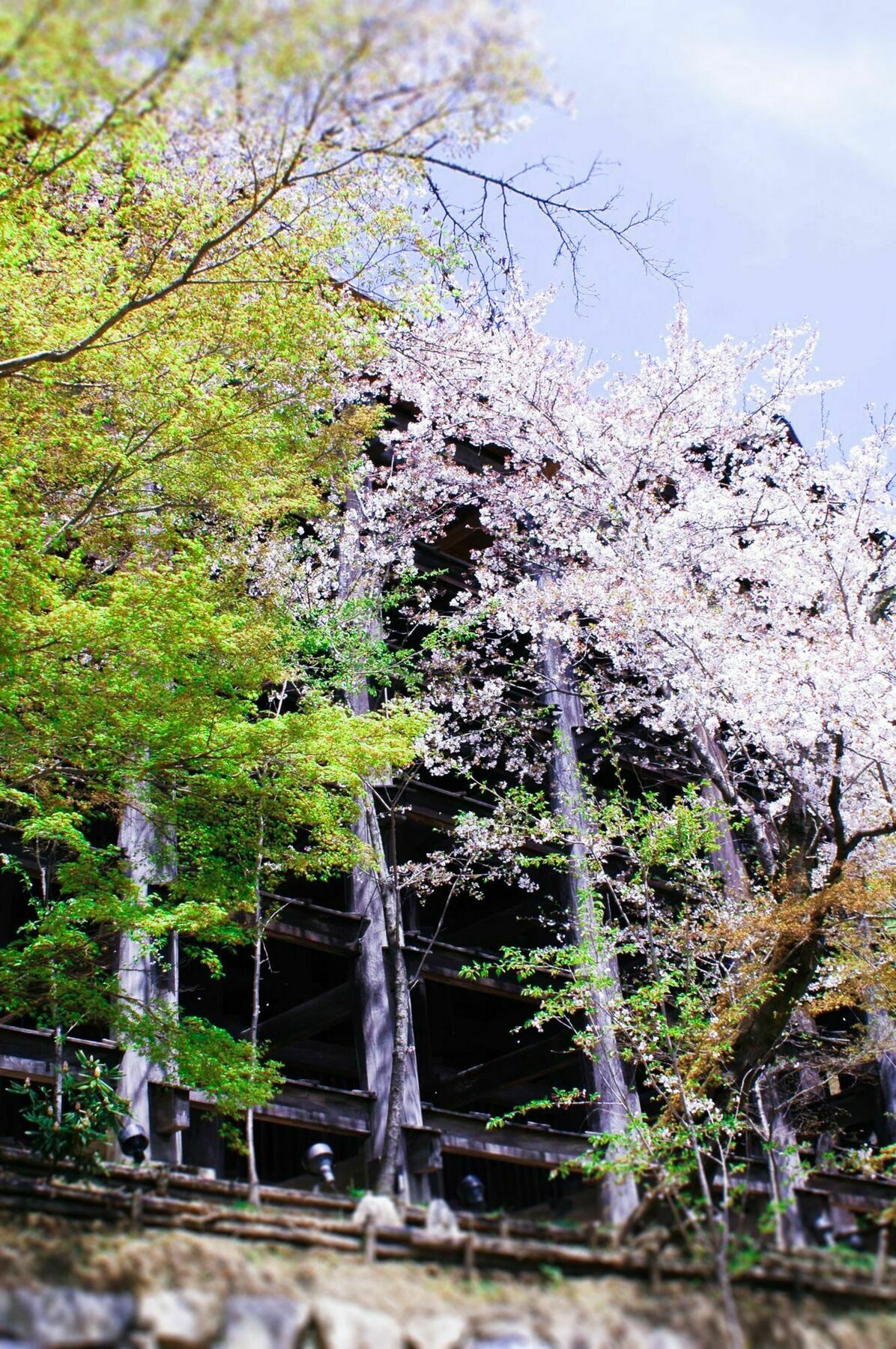 Holiday home Sakura Machiya Akari Kyoto